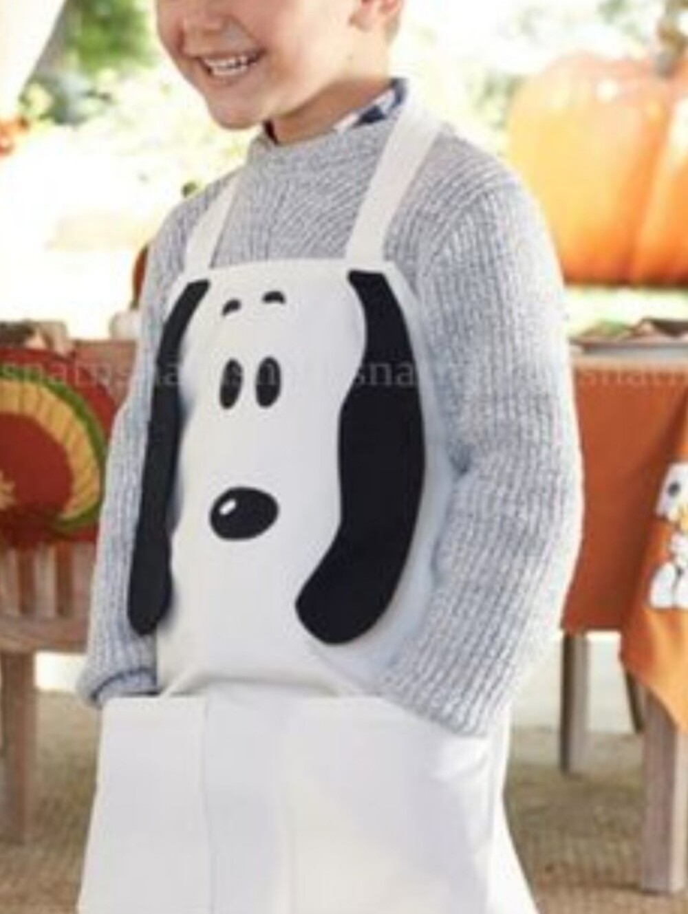New PBK Peanuts Snoopy Apron Pottery Barn KIDS Thanksgiving Holiday